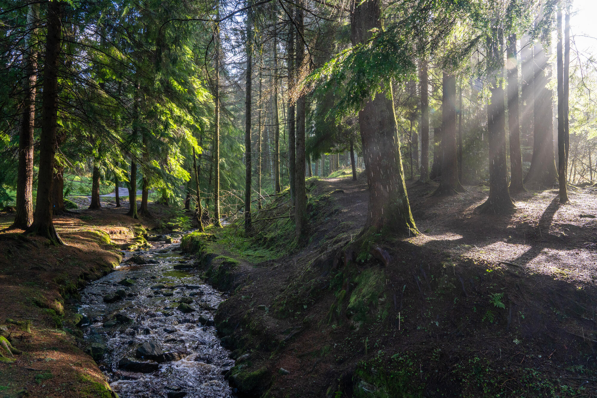 River running through Gortin Glen