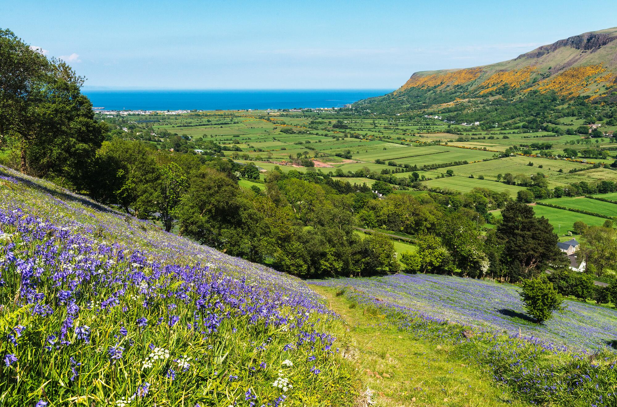 Views of Glenariff Glen situated on the Causeway Coastal Route.