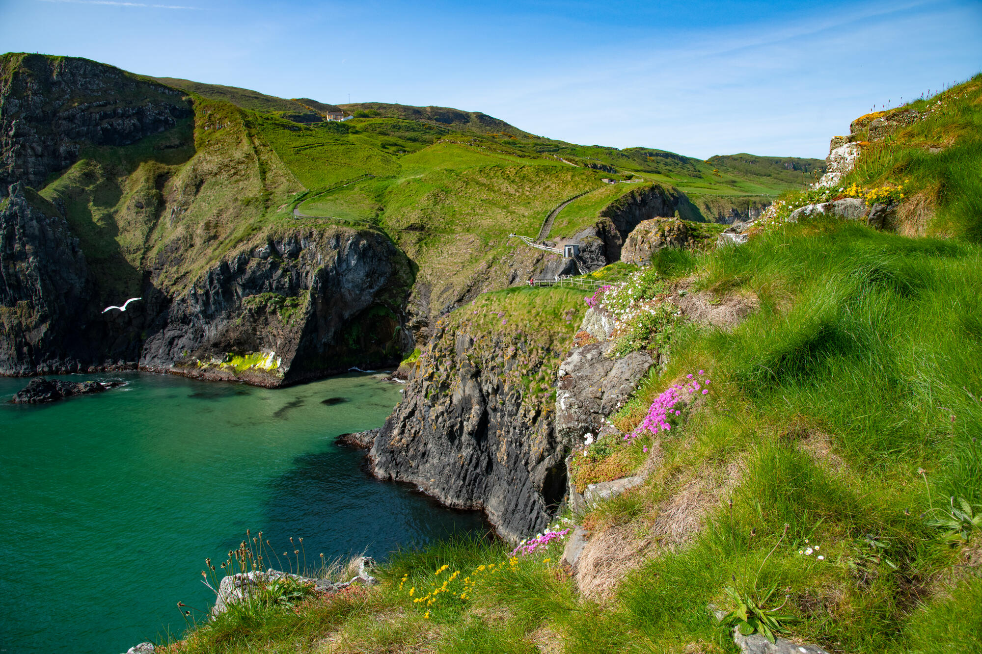 Views of Carrick a Rede island and Ropebridge with the cliffs and path