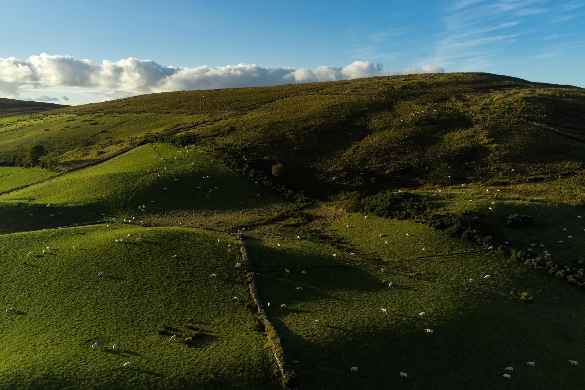 Near Plumbridge, Sperrins Walking Festival, Co. Tyrone